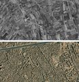 Giza Agriculture Fabric 1965- 2020 - Corona Cast.jpg